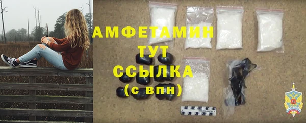 шишки Вязники