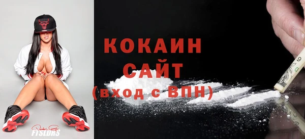 шишки Вязники