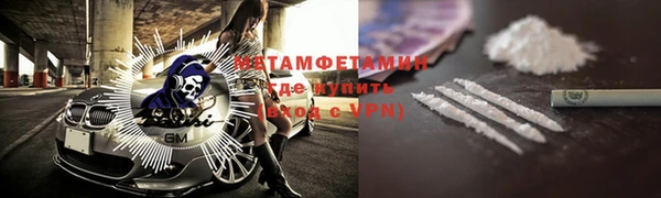 ПСИЛОЦИБИНОВЫЕ ГРИБЫ Вяземский