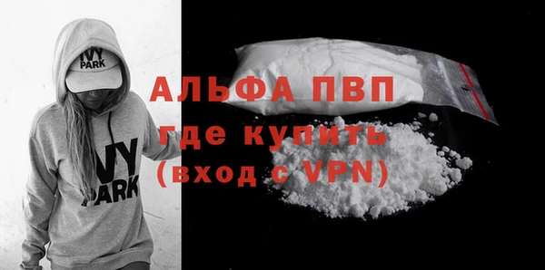 ПСИЛОЦИБИНОВЫЕ ГРИБЫ Вяземский