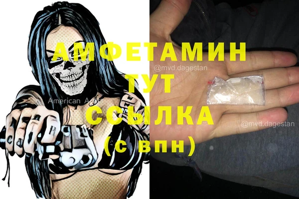 шишки Вязники