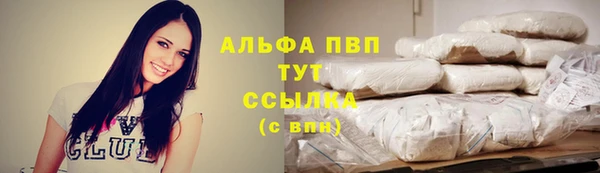 ПСИЛОЦИБИНОВЫЕ ГРИБЫ Вяземский
