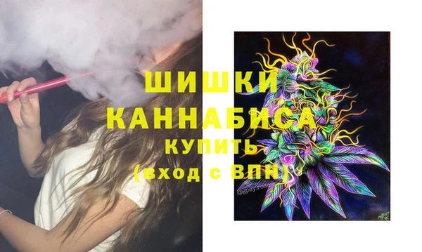 ПСИЛОЦИБИНОВЫЕ ГРИБЫ Вяземский