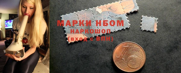 ПСИЛОЦИБИНОВЫЕ ГРИБЫ Вяземский