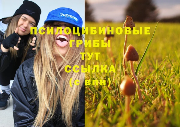 ПСИЛОЦИБИНОВЫЕ ГРИБЫ Вяземский