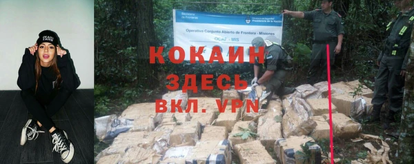 шишки Вязники