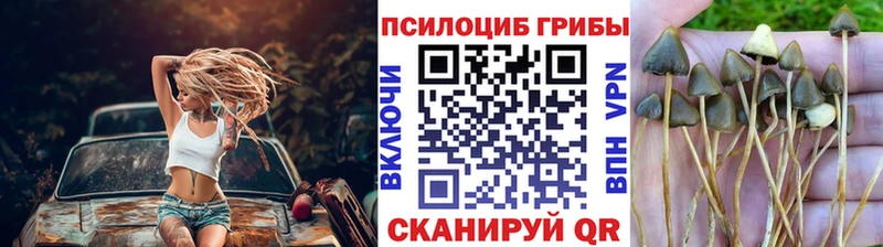 Псилоцибиновые грибы MAGIC MUSHROOMS  Нальчик 